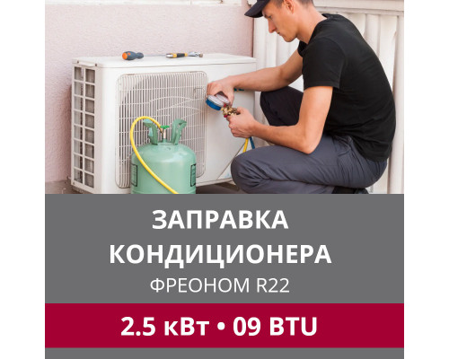 Заправка кондиционера LG фреоном R22 до 2.5 кВт (09 BTU)